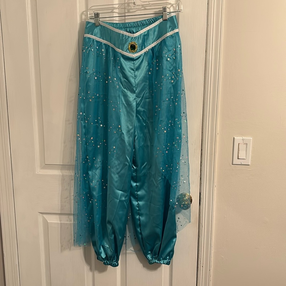Princess Jasmine Costume Size: Adult L